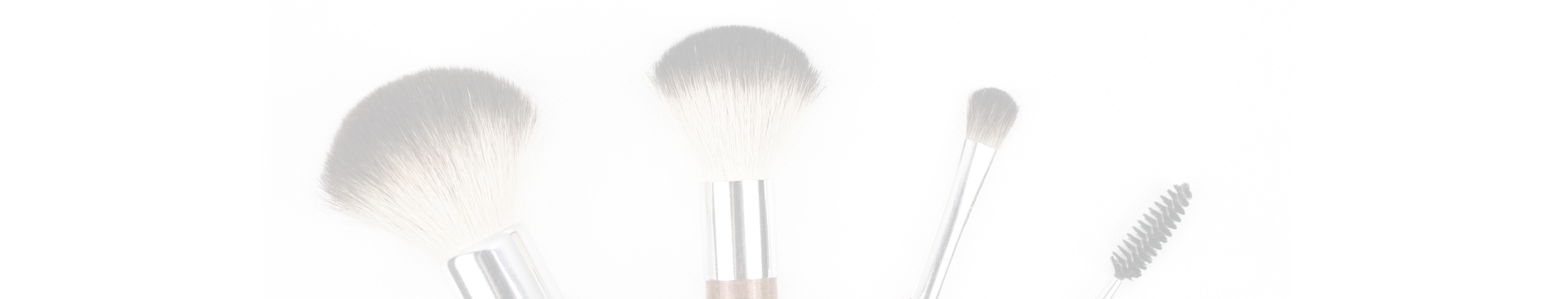 footer-master-makeup